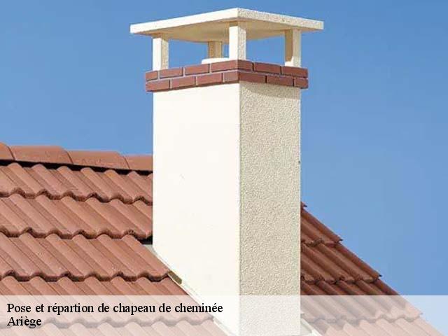 Pose et répartion de chapeau de cheminée Ariège