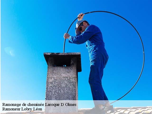 Ramonage de cheminée laroque-d-olmes-09600 Ramoneur Lobry Léon