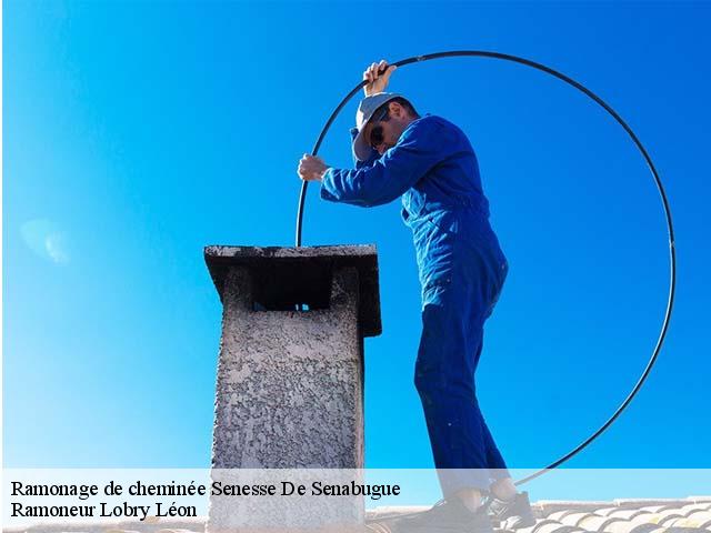 Ramonage de cheminée senesse-de-senabugue-09600 Ramoneur Lobry Léon