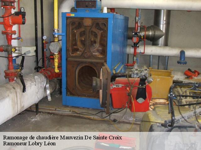 Ramonage de chaudière mauvezin-de-sainte-croix-09230 Ramoneur Lobry Léon
