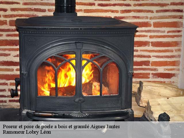 Poseur et pose de poele a bois et granulé  aigues-juntes-09240 Ramoneur Lobry Léon