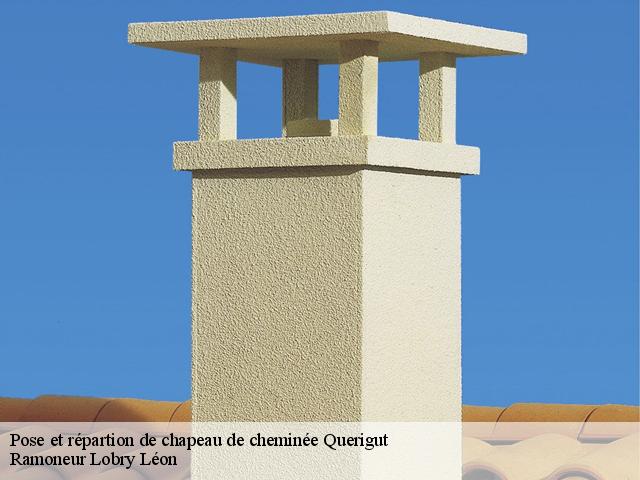 Pose et répartion de chapeau de cheminée querigut-09460 Ramoneur Lobry Léon