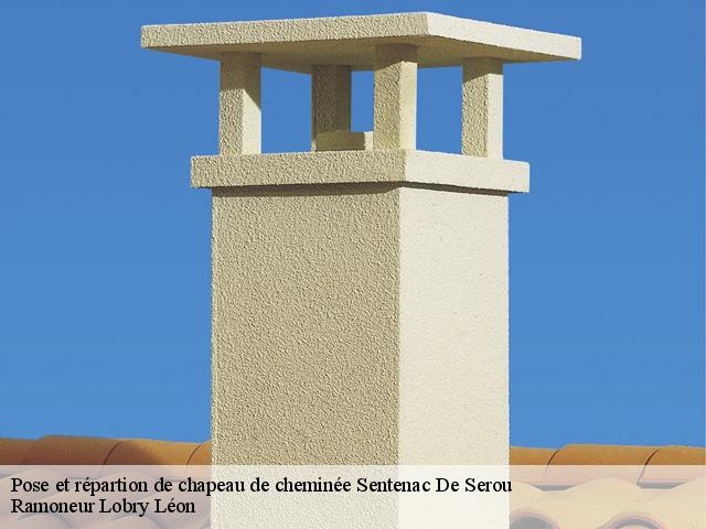 Pose et répartion de chapeau de cheminée  sentenac-de-serou-09240 Ramoneur Lobry Léon
